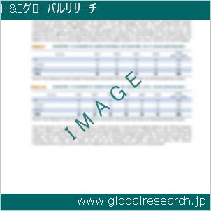 グローバルリサーチ調査レポートのイメージ